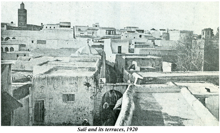 Sale terraces 1920